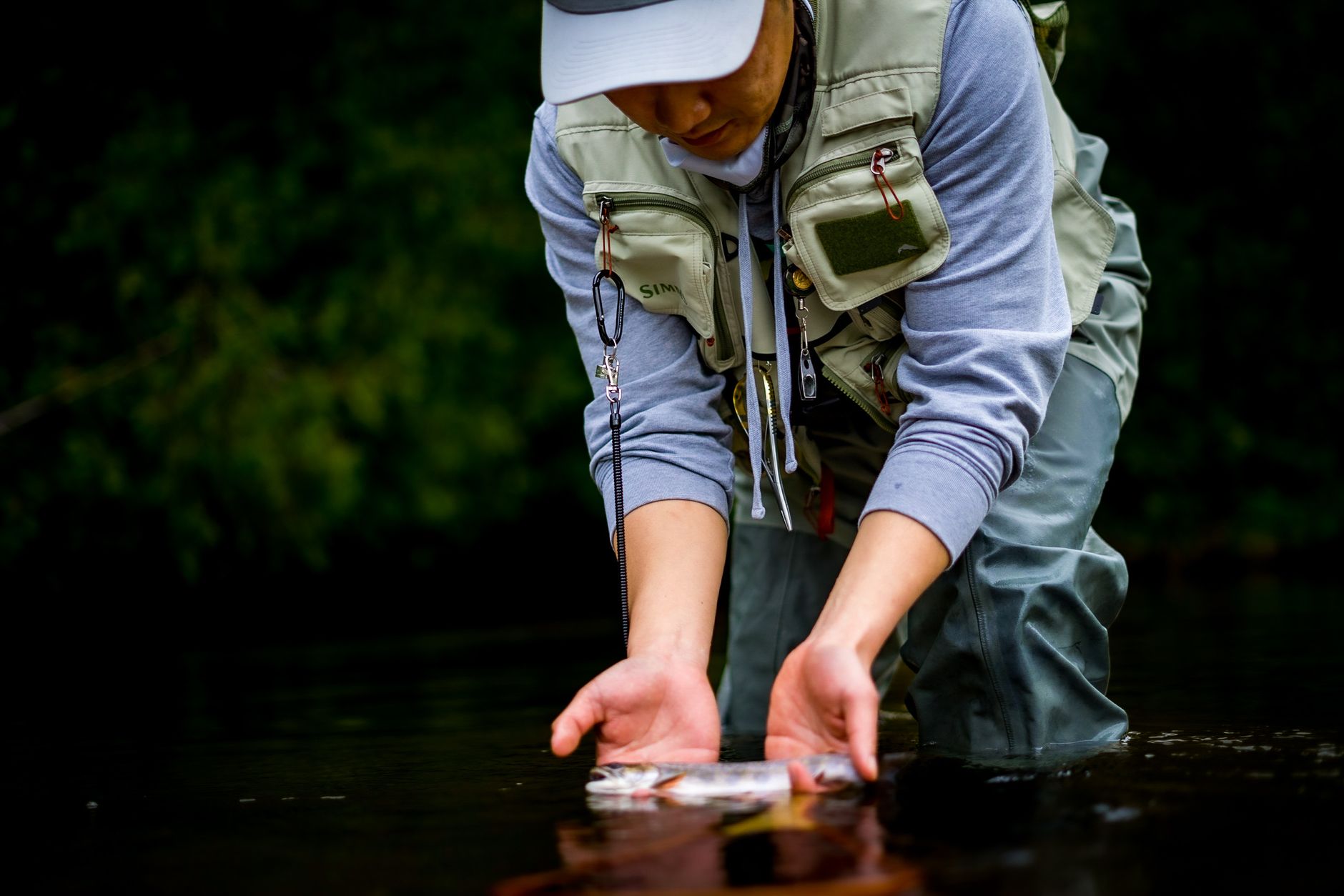 Angler releasing a trout back into a creek during fly fishing