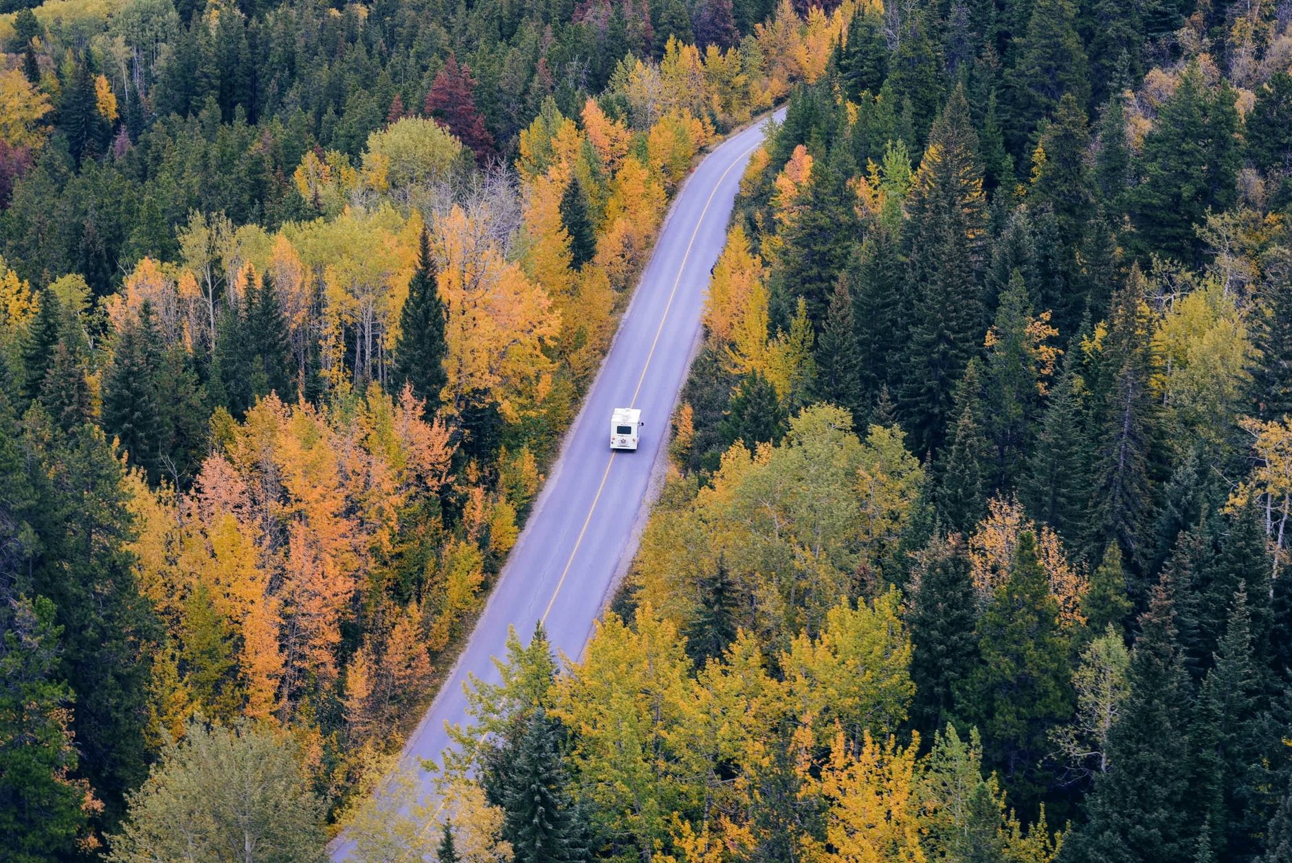 A campervan travels on a winding road through a vibrant autumn forest