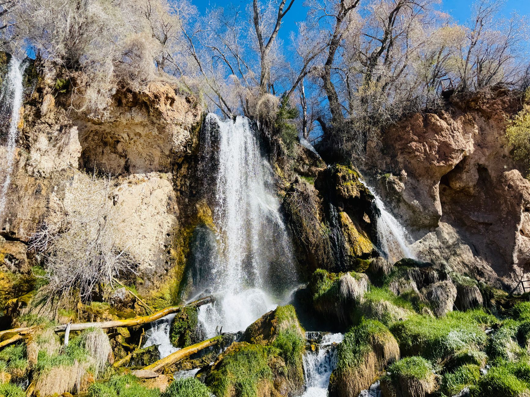 Scenic natural hot springs waterfall surrounded by lush greenery in Colorado