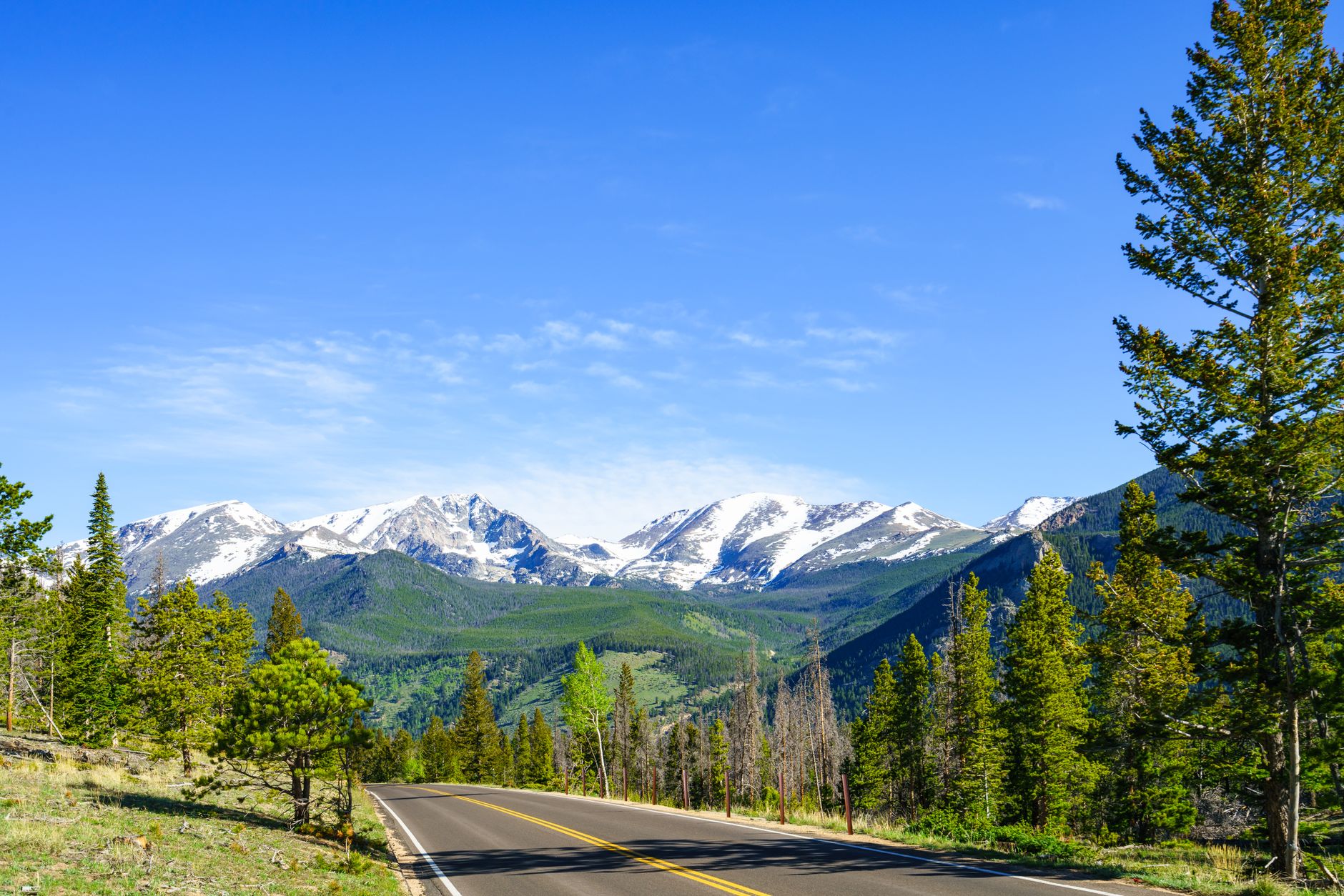 Snow-capped Rocky Mountains rising above green forest in Colorado