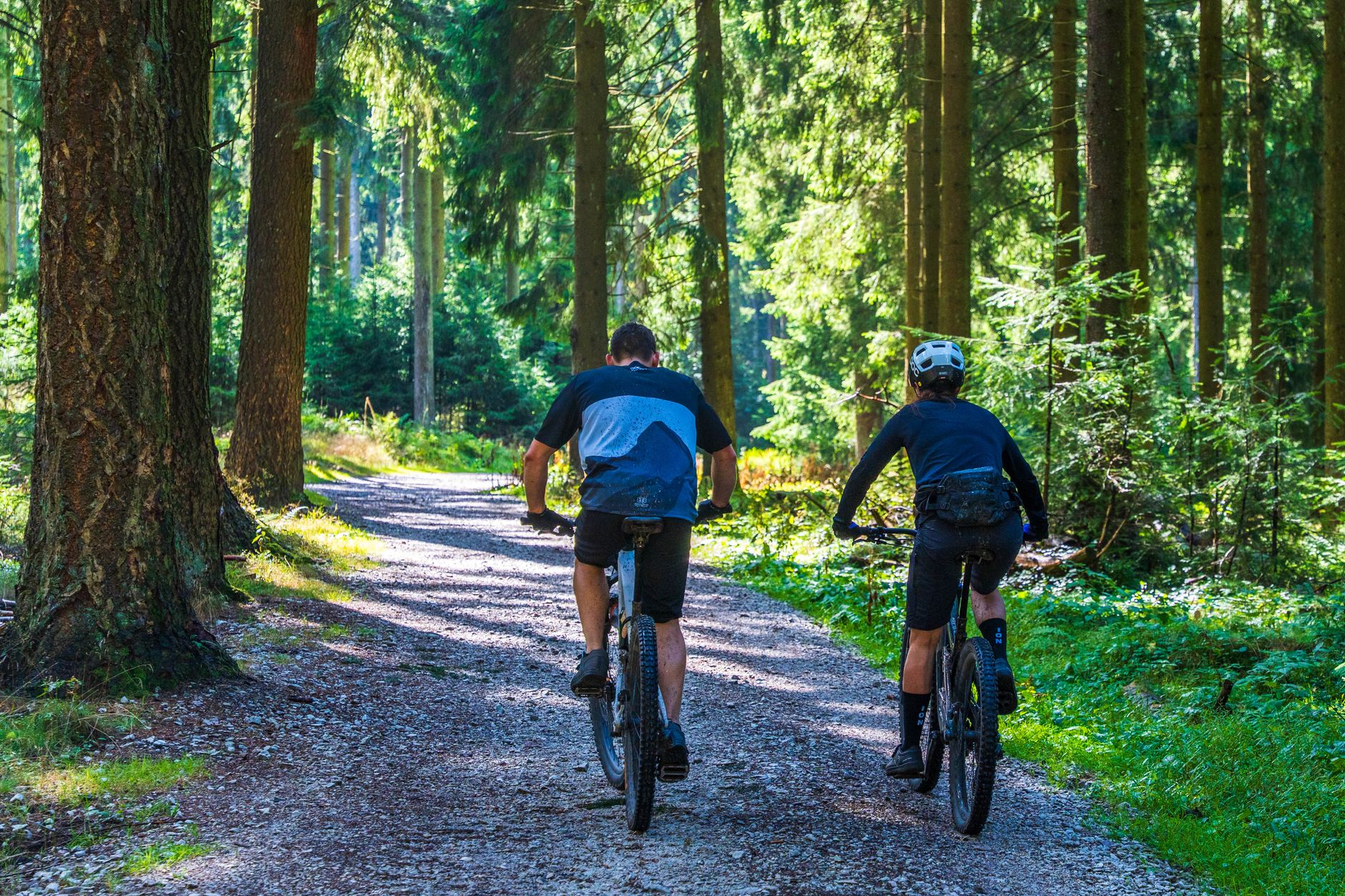 Two cyclists riding mountain bikes along a scenic forest trail