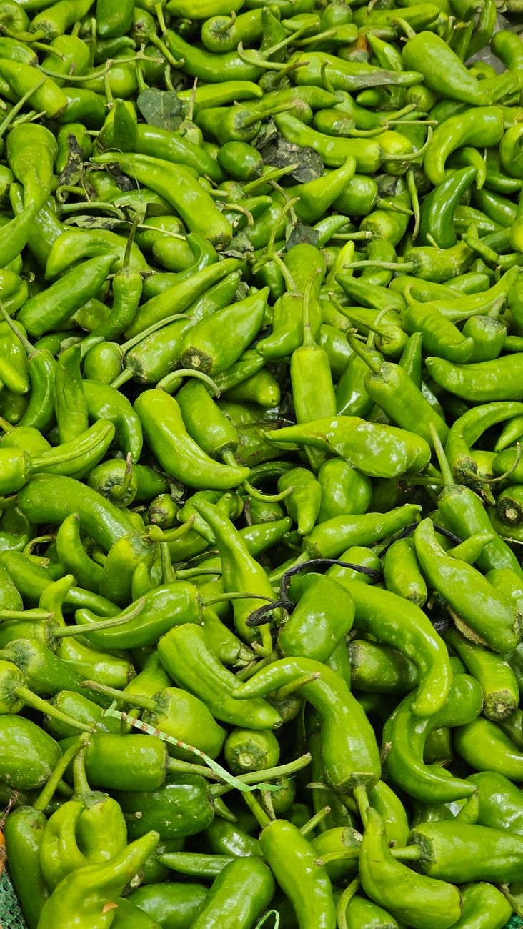 A large pile of fresh green chili peppers for spicy cooking