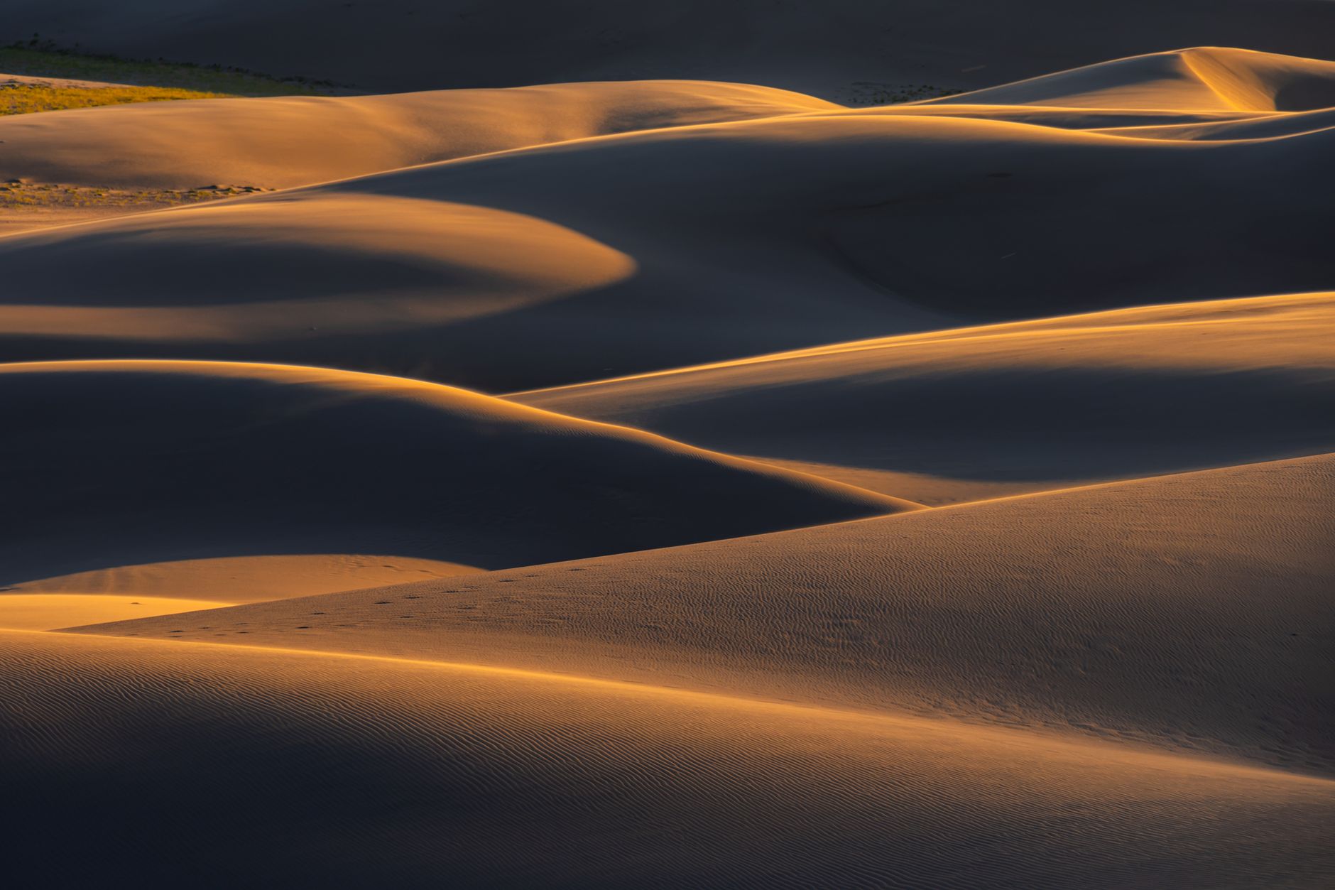 Captivating golden sand dunes in Colorado captured at sunset