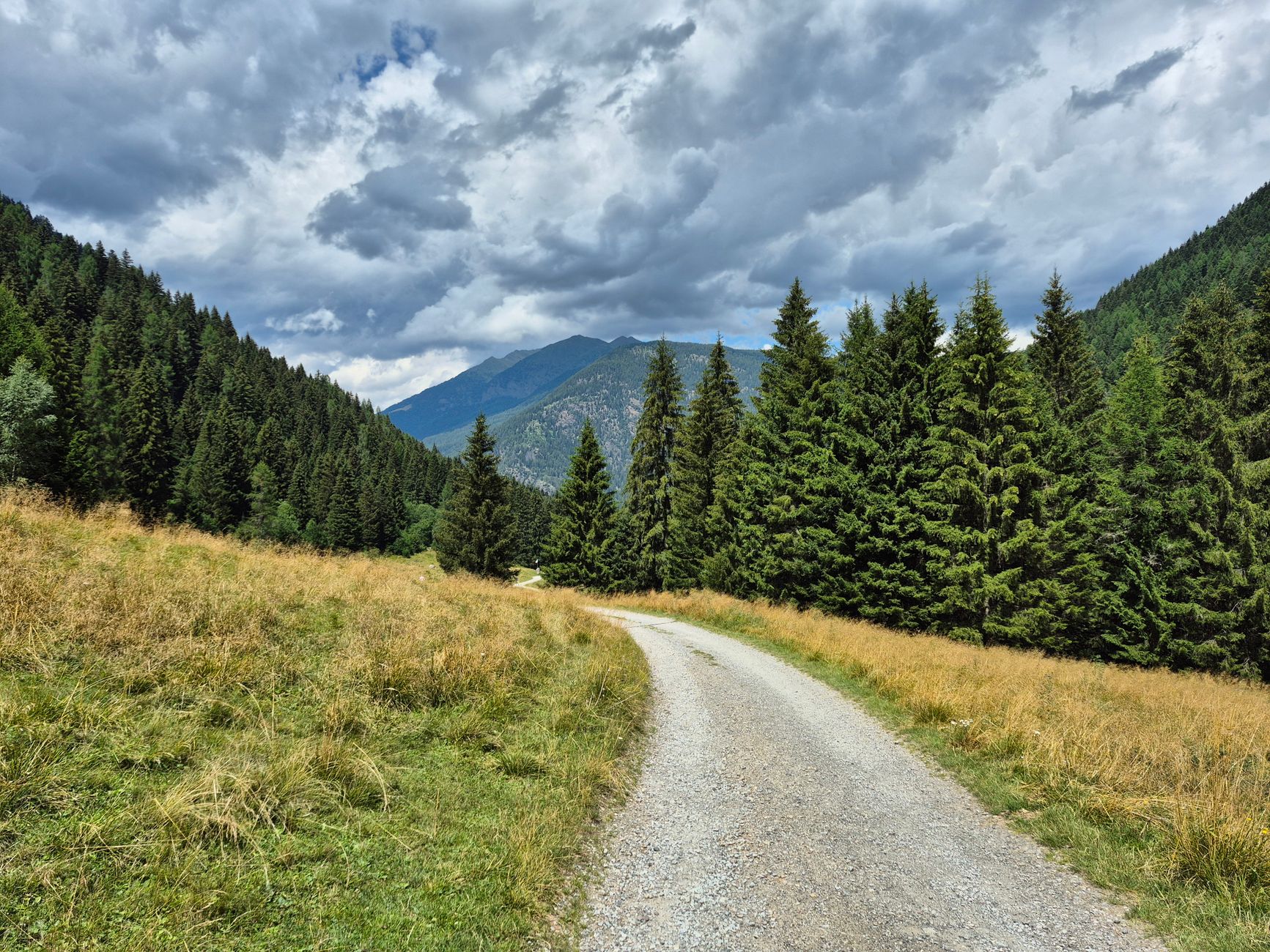 A gravel path winding through lush pine forests and mountains