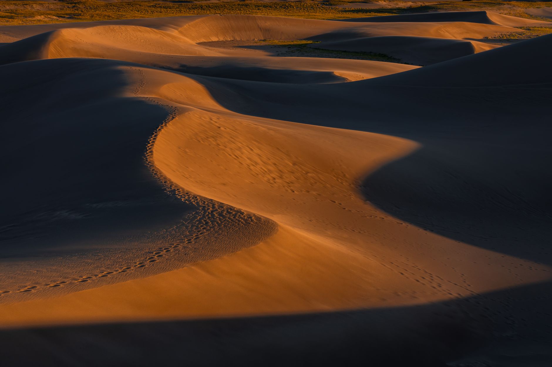 Majestic sand dunes in Colorado captured during sunset