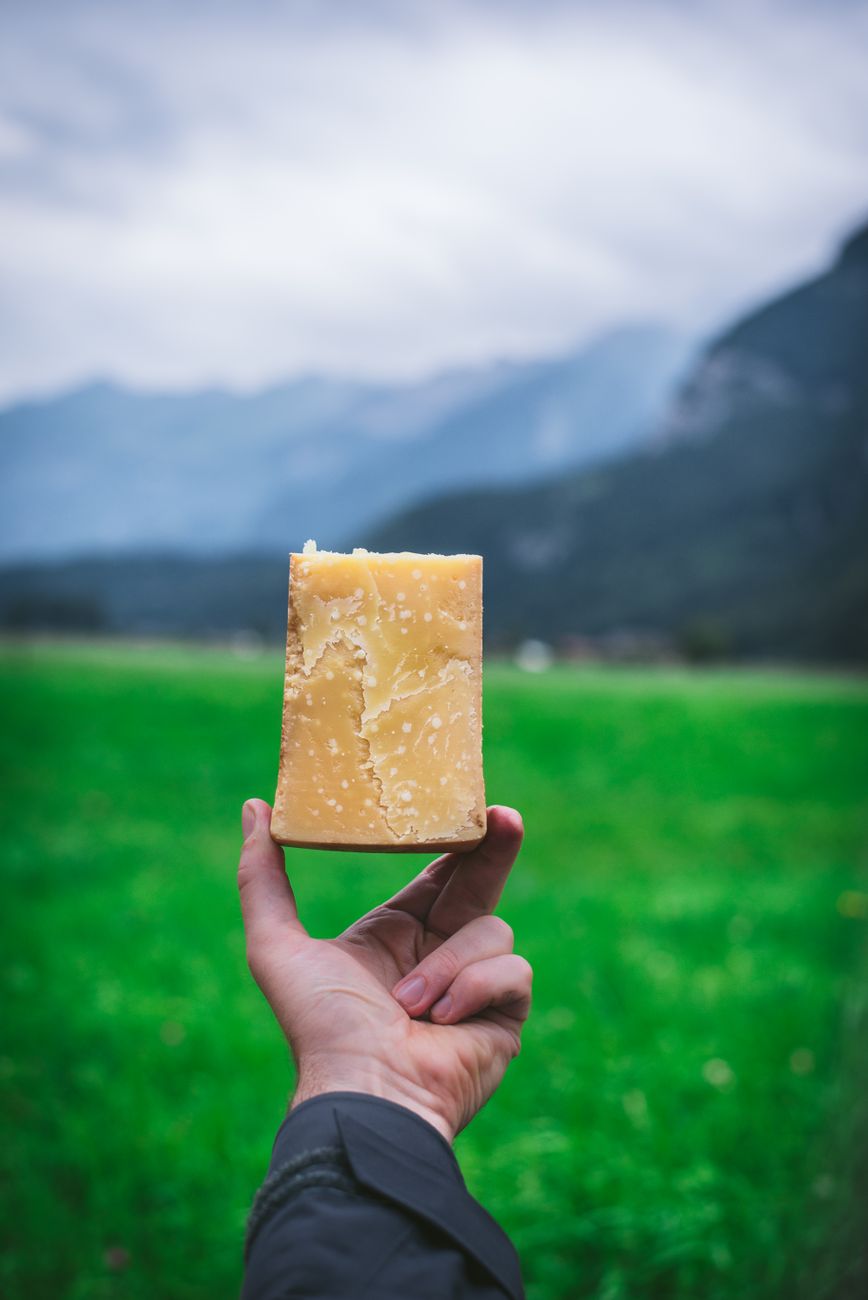 Hand holds a block of cheese with a mountain landscape backdrop