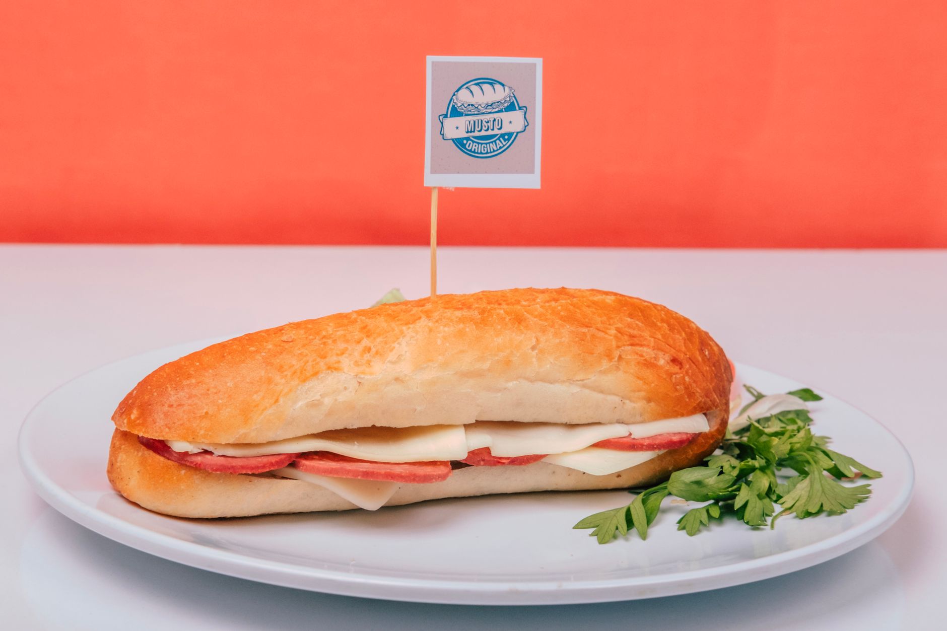 Appetizing sub sandwich with meats and cheese on a plate
