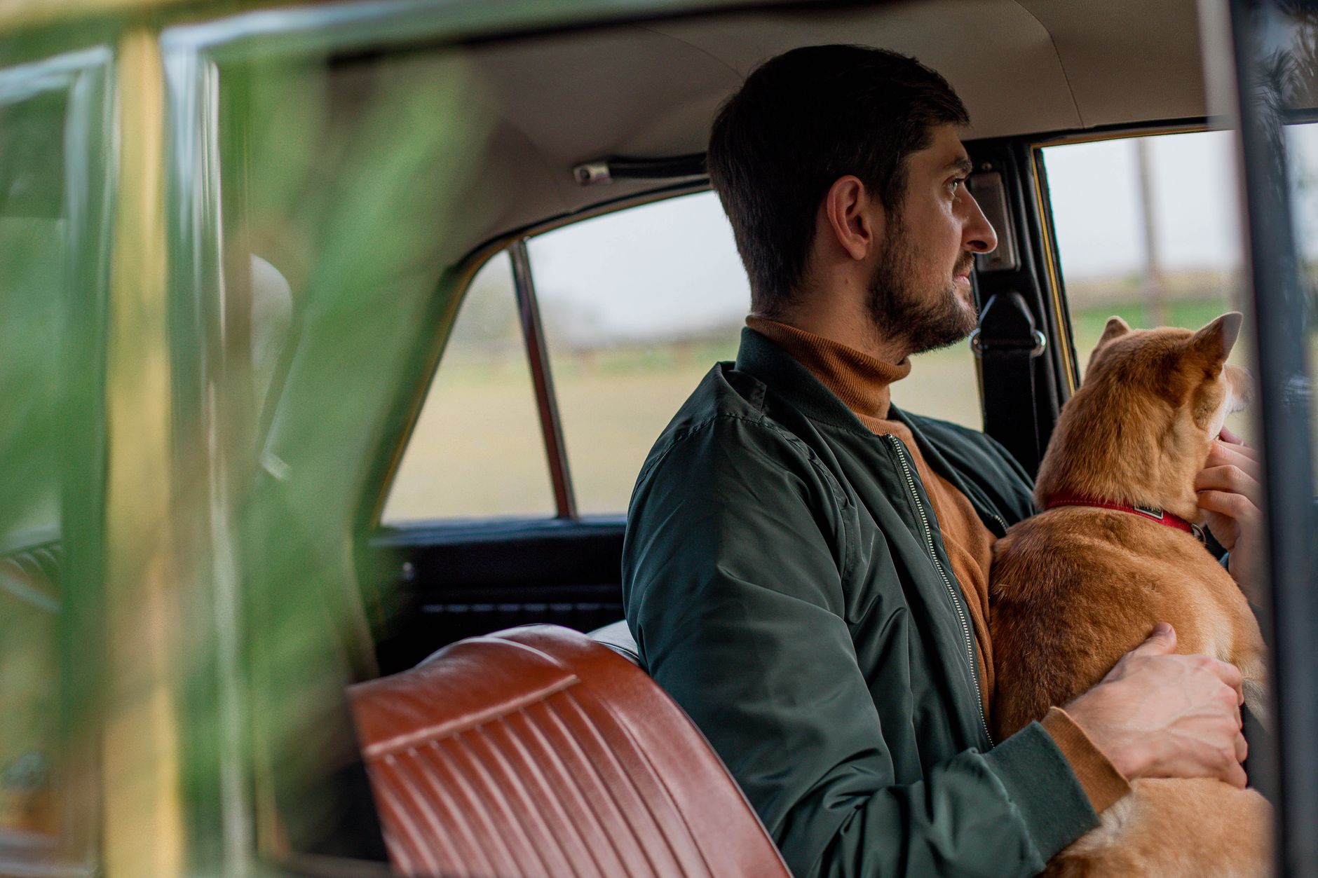 A man and his dog sitting in a car, gazing out the window together
