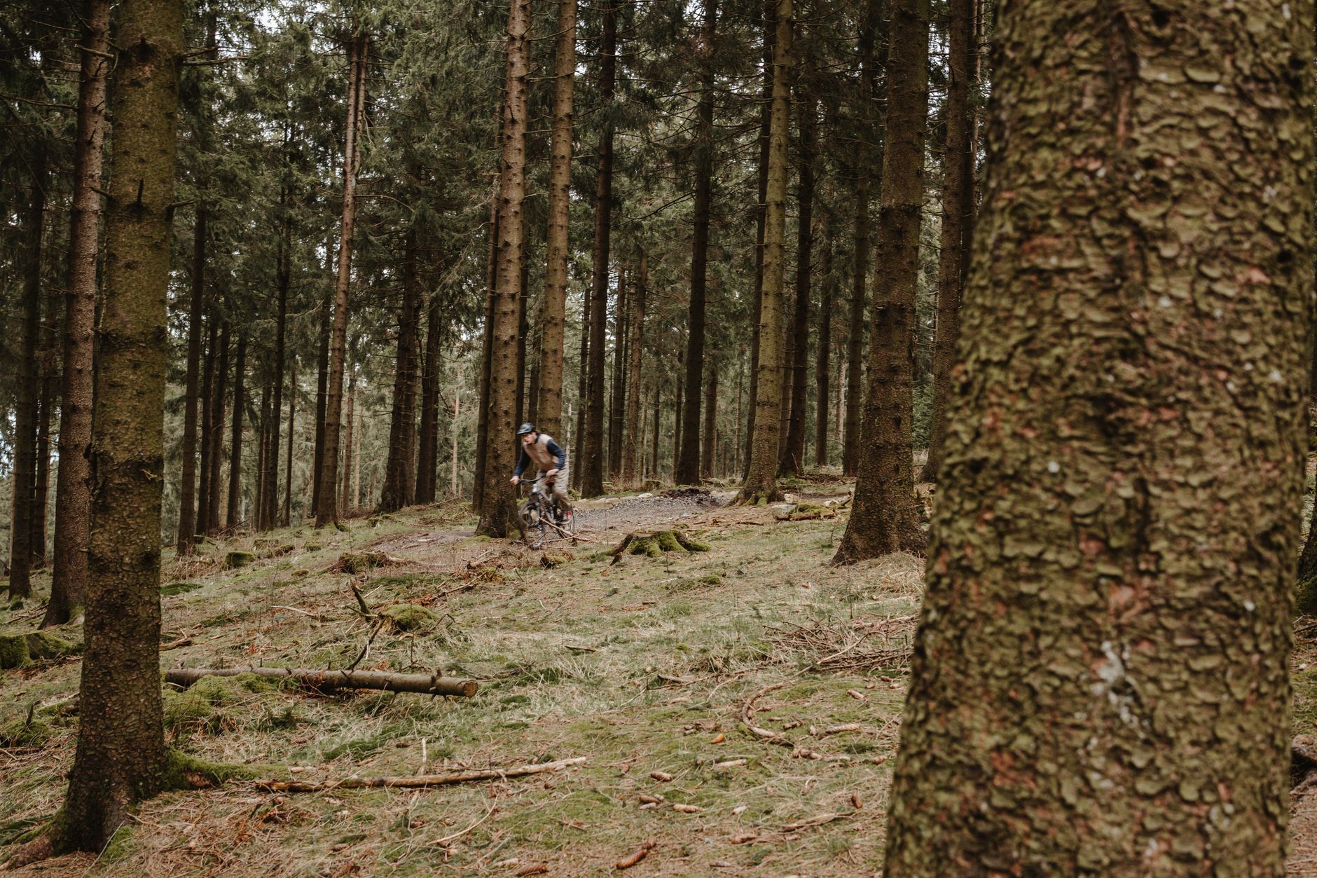 Mountain biker navigating a rugged forest trail surrounded by evergreens