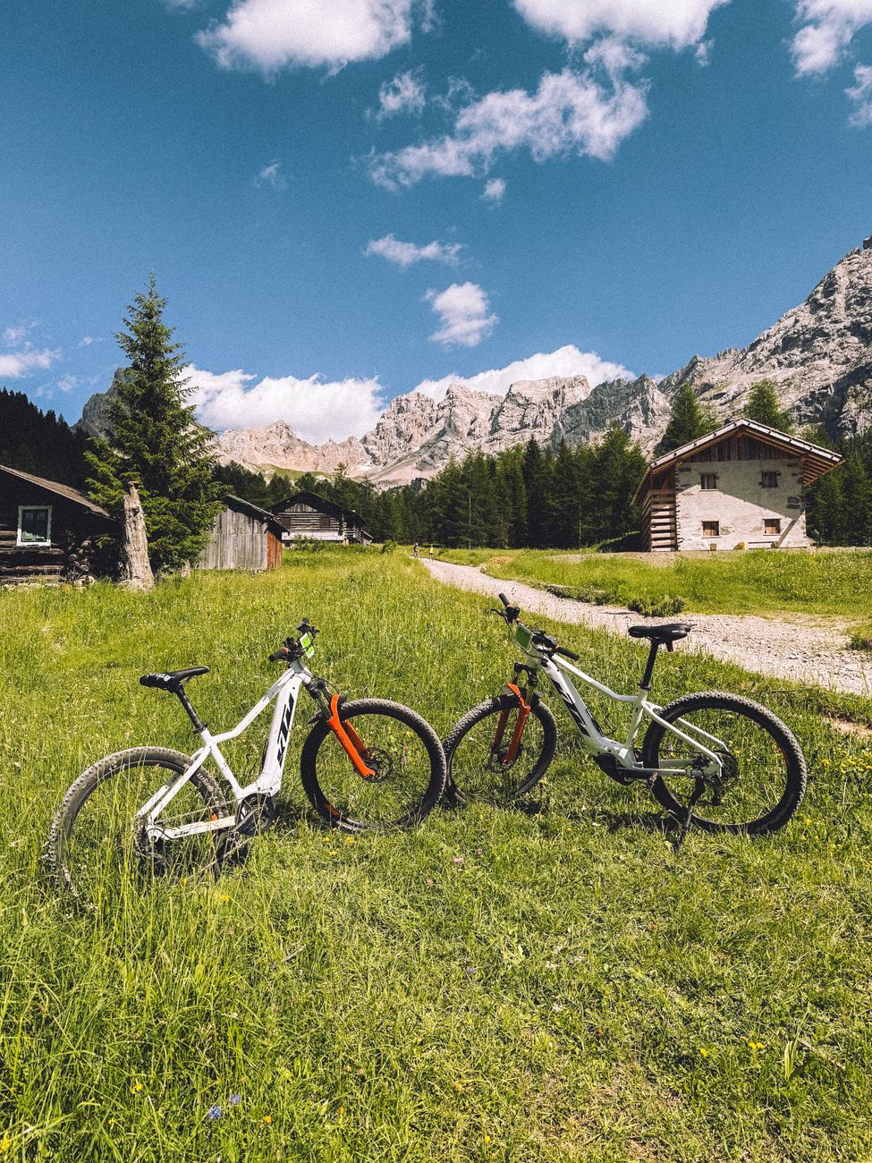 Two mountain bikes resting in a scenic alpine meadow with mountain backdrop