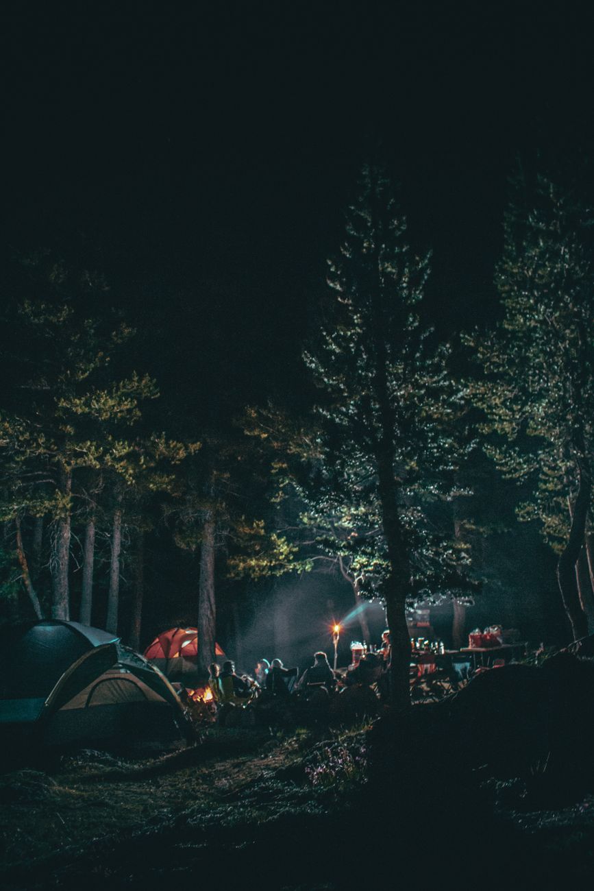 A serene camping scene at night with tents and campfire lit among tall trees