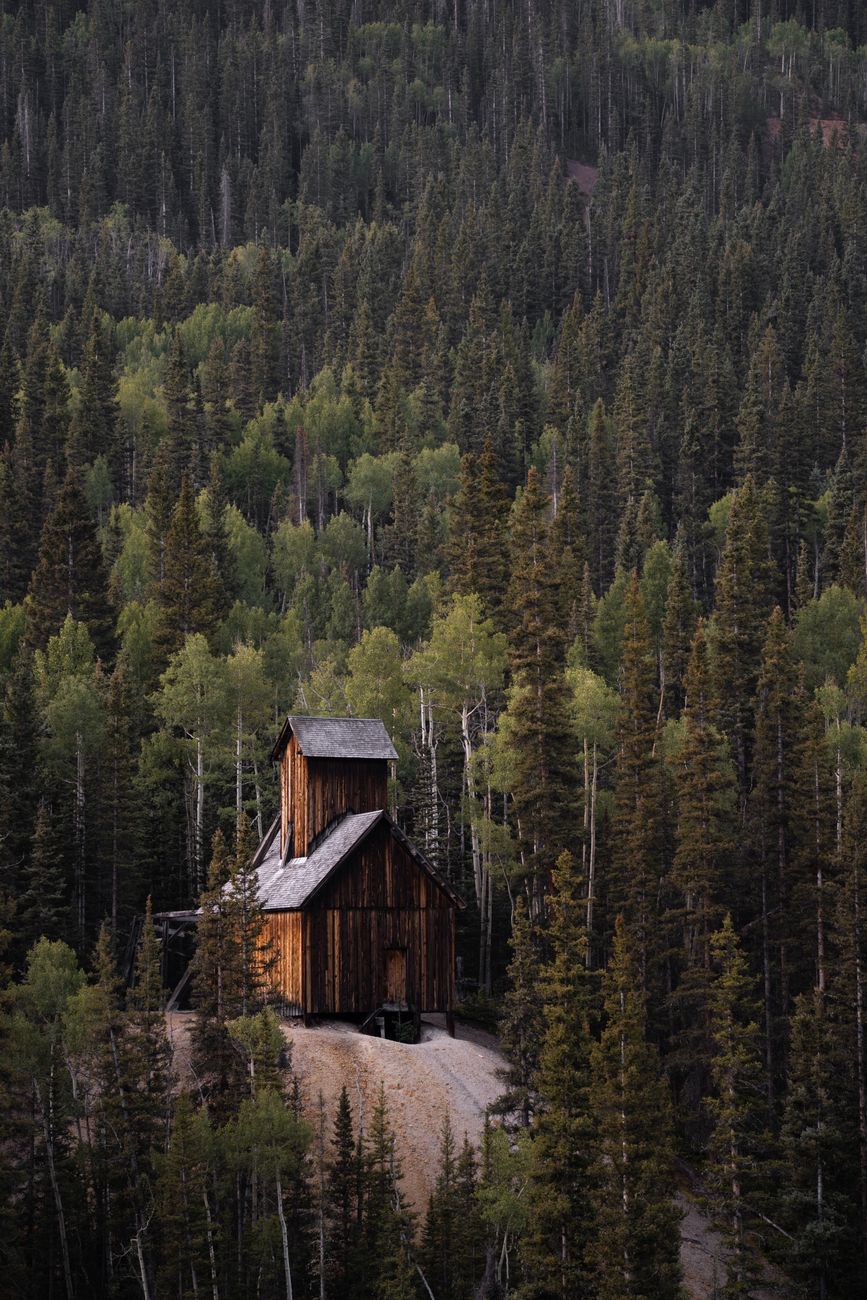 Scenic view of an old wooden building nestled among dense coniferous trees