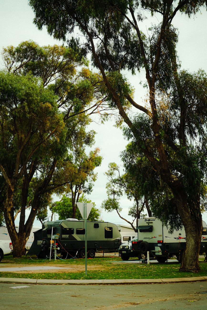 Serene RV park with campers under lush trees during daytime