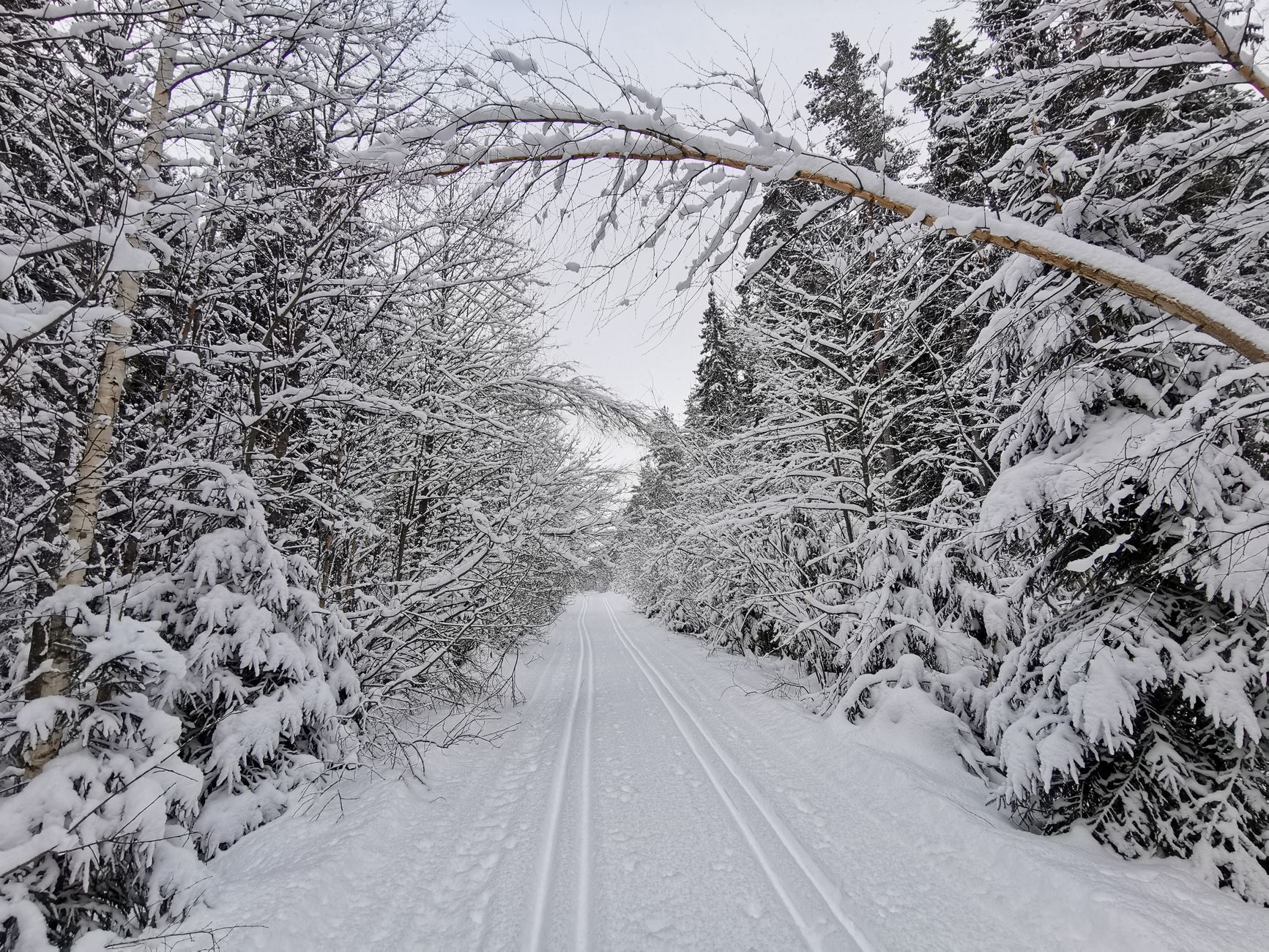 Cross-Country Skiing and Snowshoeing Near Monarch Pass, Colorado