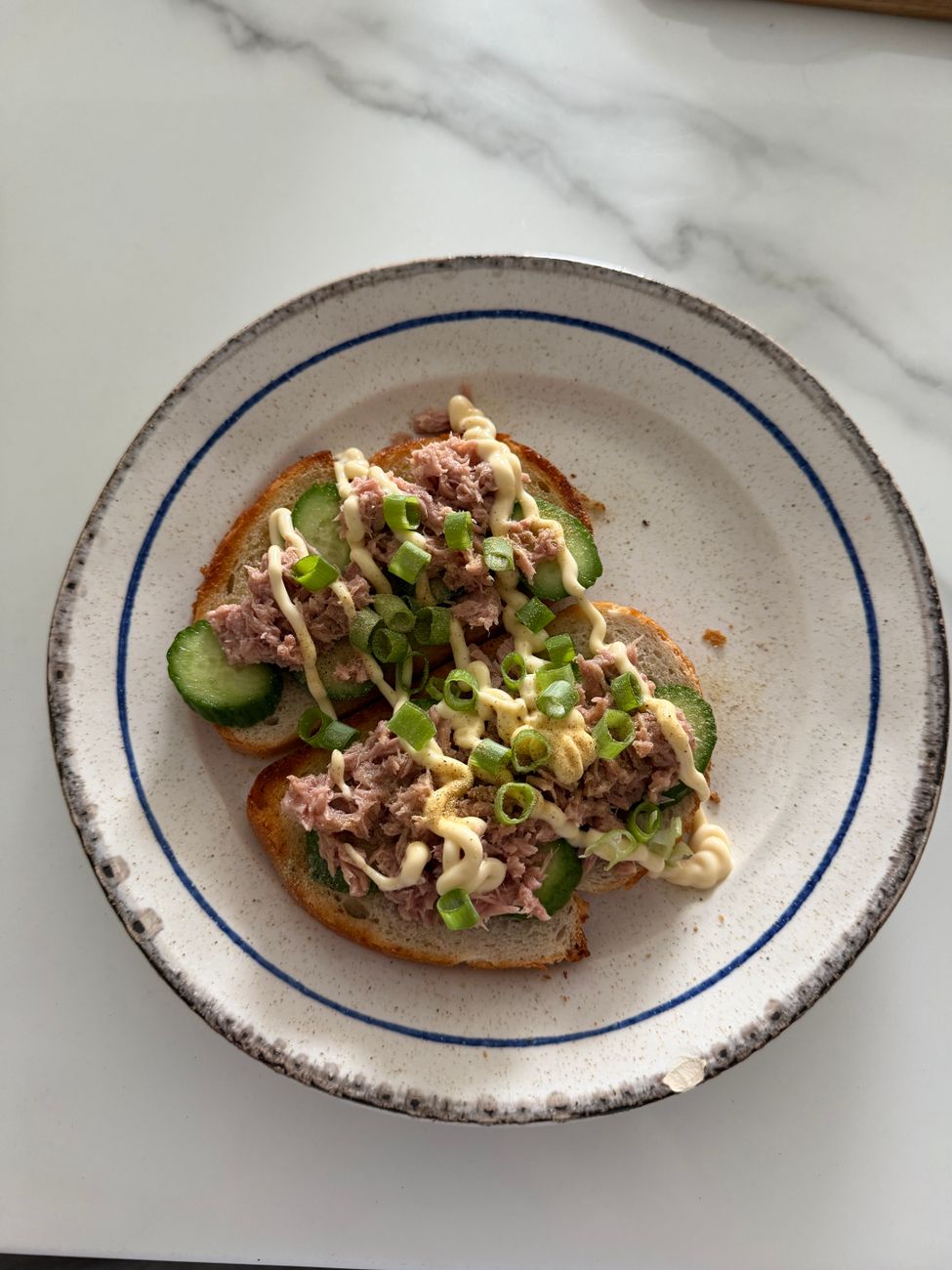 A delicious tuna salad toast topped with cucumber and mayo