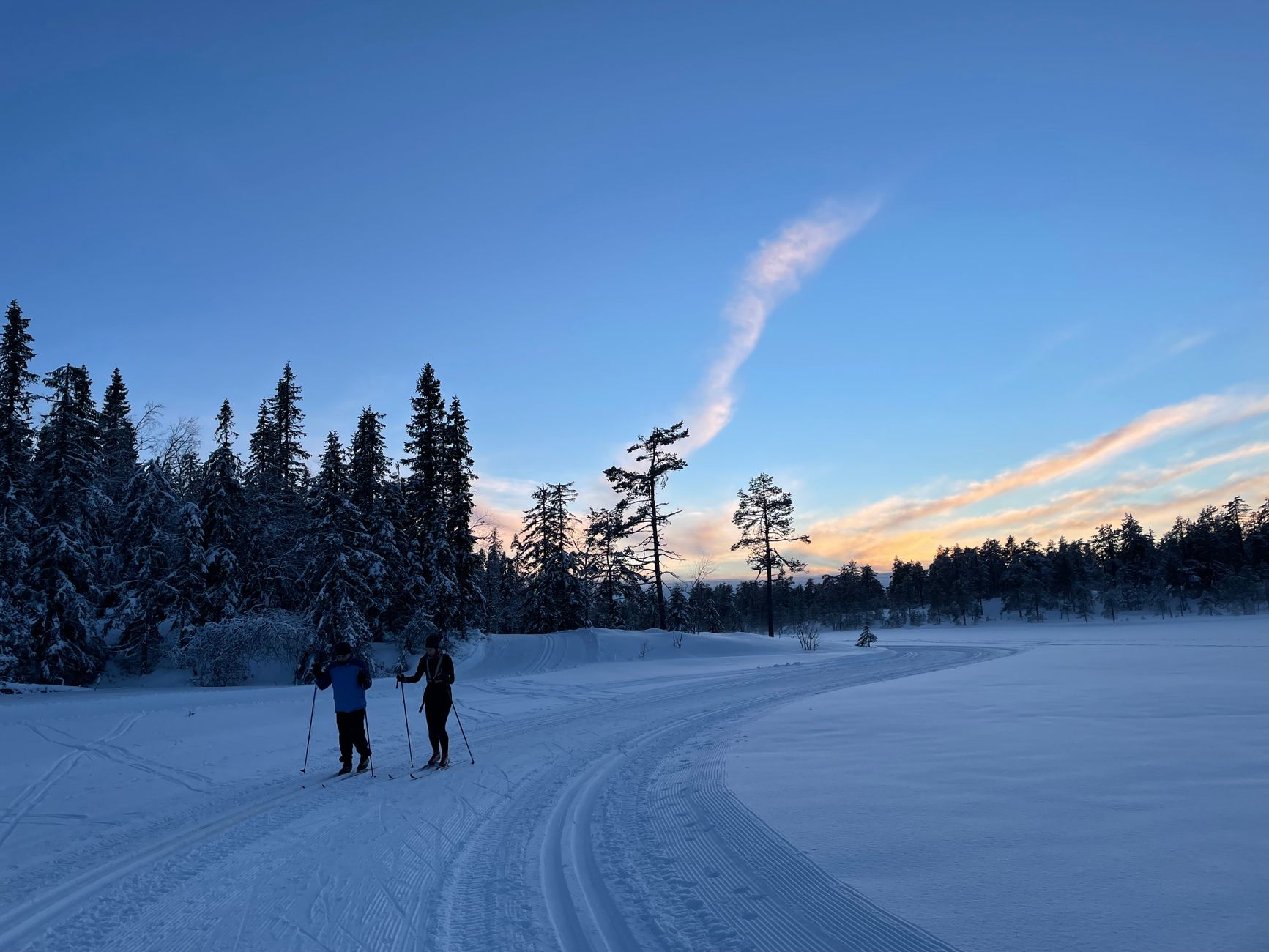 Two skiers glide across a snowy trail with a winter forest backdrop at dusk