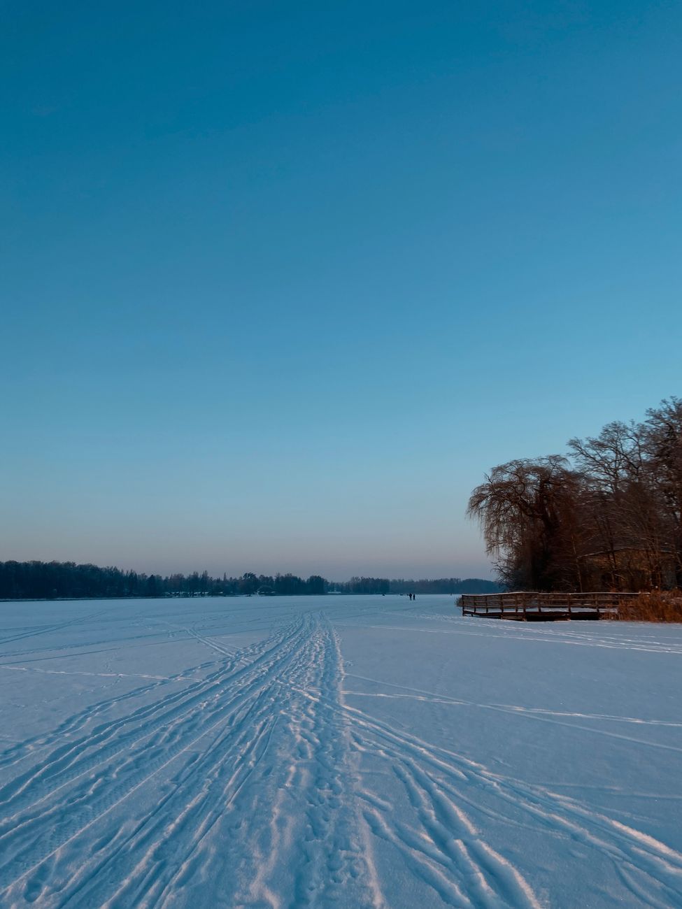 A vast snowy landscape with a ski trail under a clear blue sky
