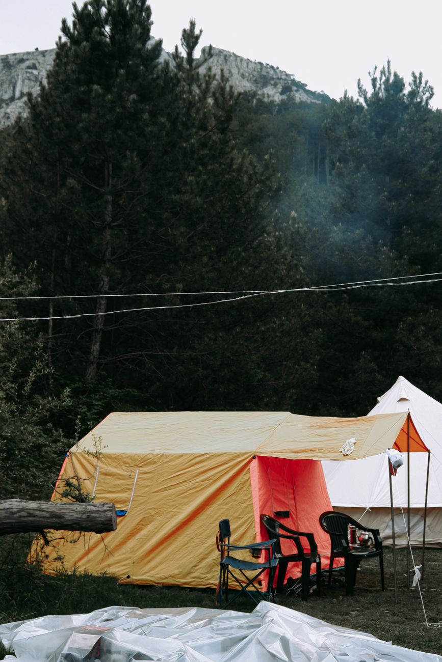 Vibrant tents set up in a lush forest for outdoor camping