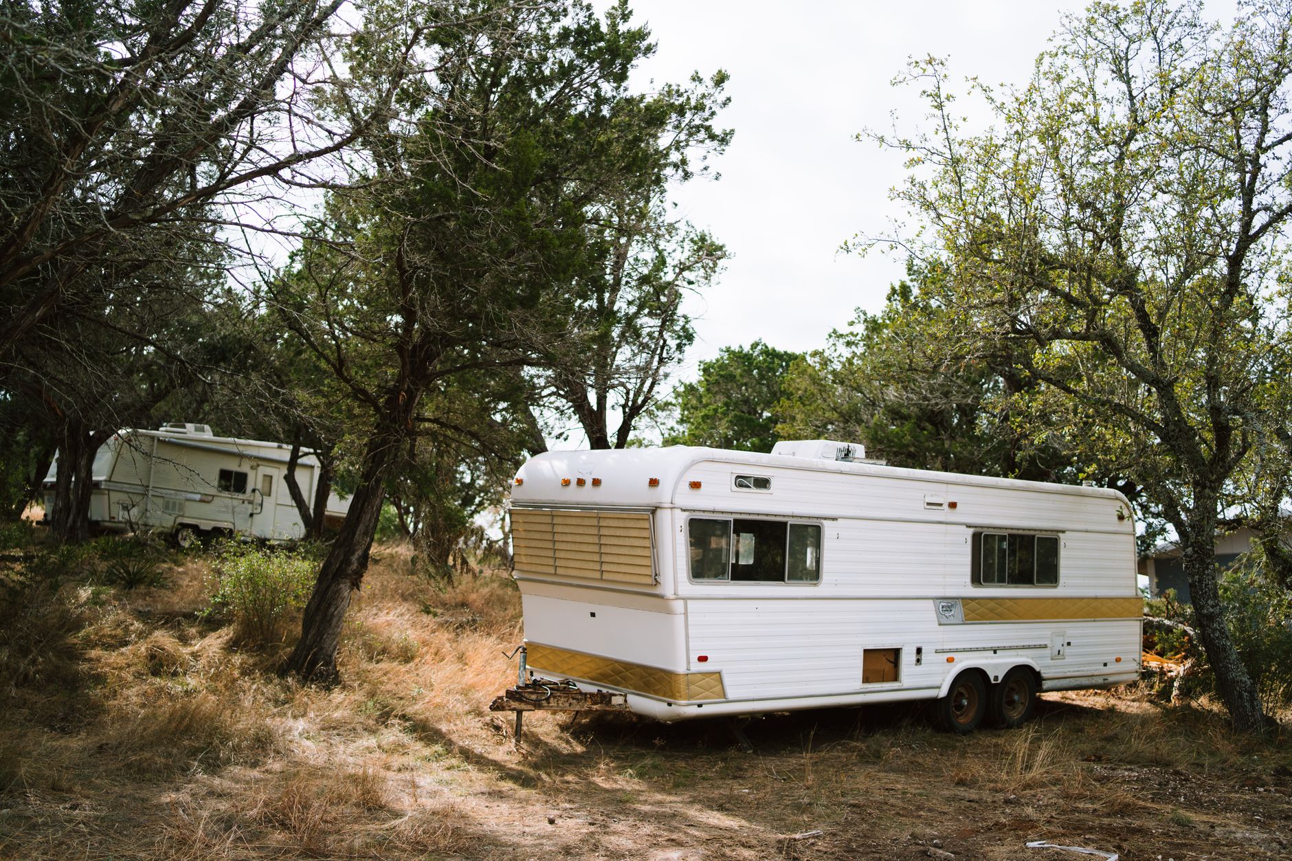 Vintage camper trailers set amidst trees in a peaceful forest scene